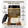 All-in-One Dog Multivitamin Chews 200 Count, Glucosamine Chondroitin Omega 3