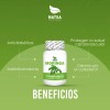 Moringa, 300 Cápsulas (3 Frascos 100 Cap C/u) Sabor Natural