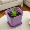 HOIGON 100 Pack 3 Inch Purple Square Nursery Pot, Durable