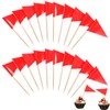 Qianyu 100 Pcs Solid Red Toothpick Flags Small Mini Plain
