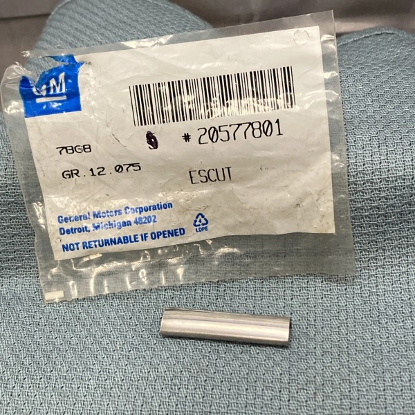 GM NEW GENUINE GM 20577801 ESCUT, MOLDING SCALP WINDSHIELD &
