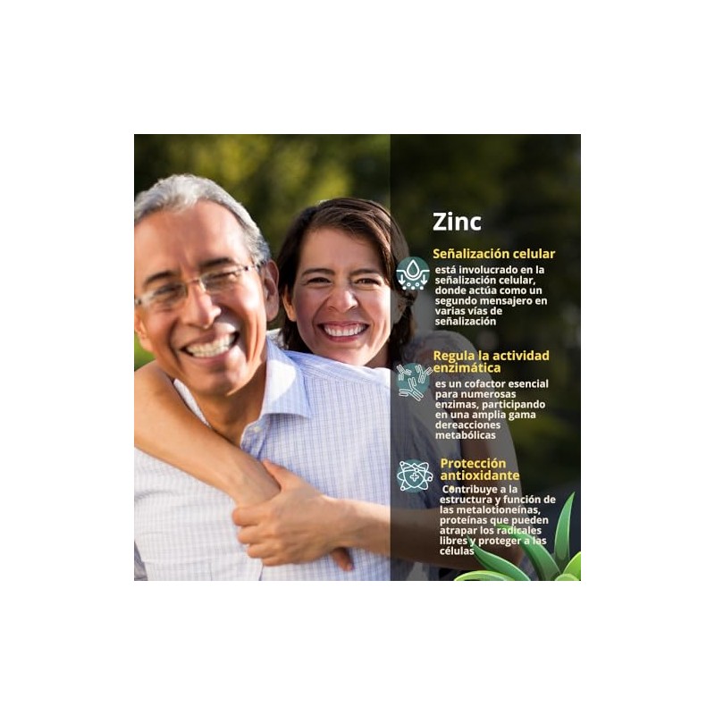 Zinc Gluconato Inulina Prebióticos Suave Estómago 100 Cápsulas Días