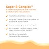 Pure Synergy Super B-Complex Vitamin B Energy & Mood 60