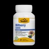 Blossom Bilberry 5000mg 90 Capsules