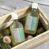 Bonajour Vegan Tea Tree Scalp Refreshing Vegan Shampoo 320ml /