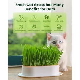 Cat Grass Seeds - Indoor Cat Grass Kit - Fast-Growing - Promotes Digestive Health, Treats Hairballs - 100% Non-GMO Heirloom Wheat Seeds - Includes Soil and BPA-Free Containers