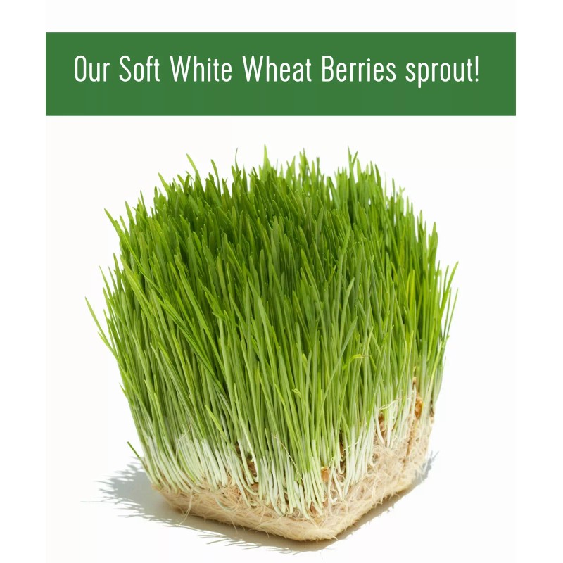 Palouse Brand Certified Glyphosate Residue Free Palouse Brand Soft White