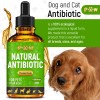 Golden Paw Dog Antibiotics with Chicken Flavor | Сat Antibiotics