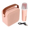 Mini Karaoke Machine Set Portable Bluetooth Speaker with 1 Wireless