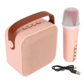 Mini Karaoke Machine Set Portable Bluetooth Speaker with 1 Wireless Microphone for Home Party KTV Pink