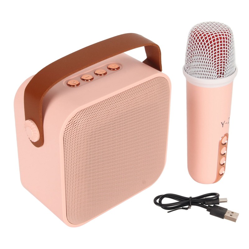 Mini Karaoke Machine Set Portable Bluetooth Speaker with 1 Wireless