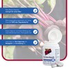 Pharma-Peter Beetroot Capsules, 60 Capsules