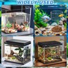 2 Pcs Aquarium Fish Feeder Feeding Tray with Suction Cup,