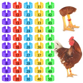 Wanmu 50Pcs Chicken Leg Bands, Numbered Clip on Leg Rings, Multiple Colour Chicken Identification Leg Bands, Foot Round Tag Clips for Duck Chick Goose Gamefowl Turkey(16mm)