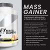 Suplemento Polvo Psn Whey Protein Mass Gainer 8kg Vainilla
