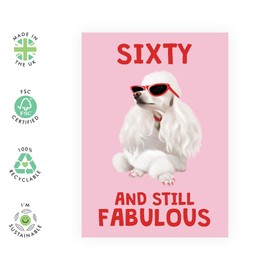 Central 23 60th Birthday Card For Women - Sixty And Still Fabulous Dog - Wife Mum - Sister - Happy Sixtieth Birthday Greeting Card Female Friends - Comes With Fun Stickers