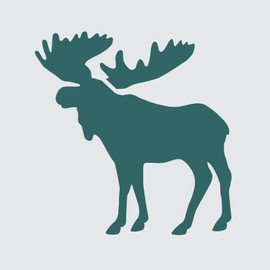 Stencils by Joanie Moose Stencil Canadian Bull Shiras Lodge Cabin Outdoor Animal DIY Decor Signs (9" Tall)