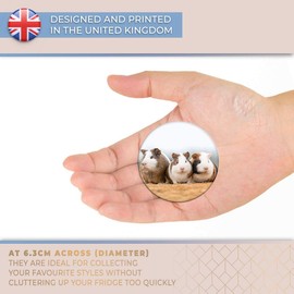 Destination Vinyl ltd Magnet for Refrigerator, Fridge - Cute Guinea Pigs Pet Animal for Office, Cabinet and Whiteboard, Magnetic Stickers, 2326