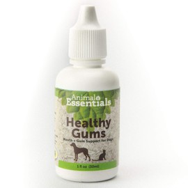 Animal Essentials Healthy Gums 1 fl oz