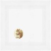 'Red Squirrel Side View' Cotton Napkin/Dinner Cloth (NK00039194)