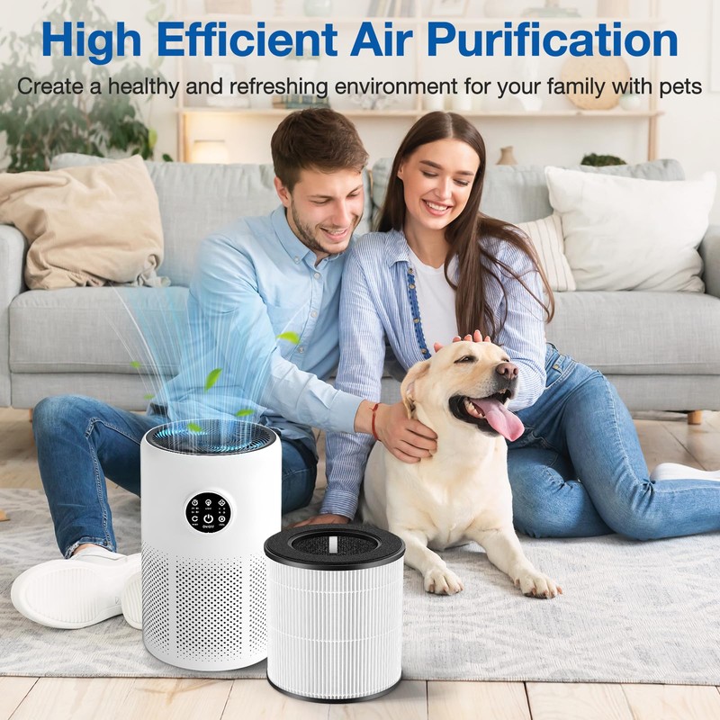 D10 Replacement Filter Compatible with Tailulu D10 Air Purifier, 3-in-1