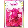 Dream World Self Hinge Barrette Daisy Pink Mix 60 Piece