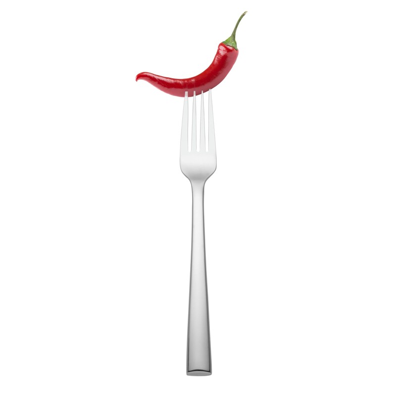 Lenox 6205264 Continental Dining 5-Piece Place Setting