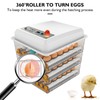 Egg Incubator,Egg Incubator with Automatic Egg Turning and Humidity Control,Poultry