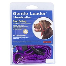 Beau Pets G2077 Dog Head Collar, Purple, Medium