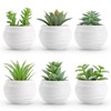 Der Rose Set of 6 Succulents Plants Artificial in Pots