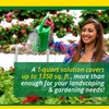 SUPERthrive Liquid Organic All Purpose Plant Food 1 qt.