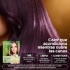 Herbishh - Champú colorante para cabello gris, champú con tinte