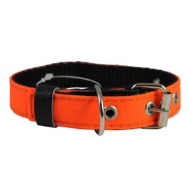 Double Thick Nylon Dog Collar Leather Enforced Metal Buckle Sized to Fit 11"-14" Neck, 1" Wide.