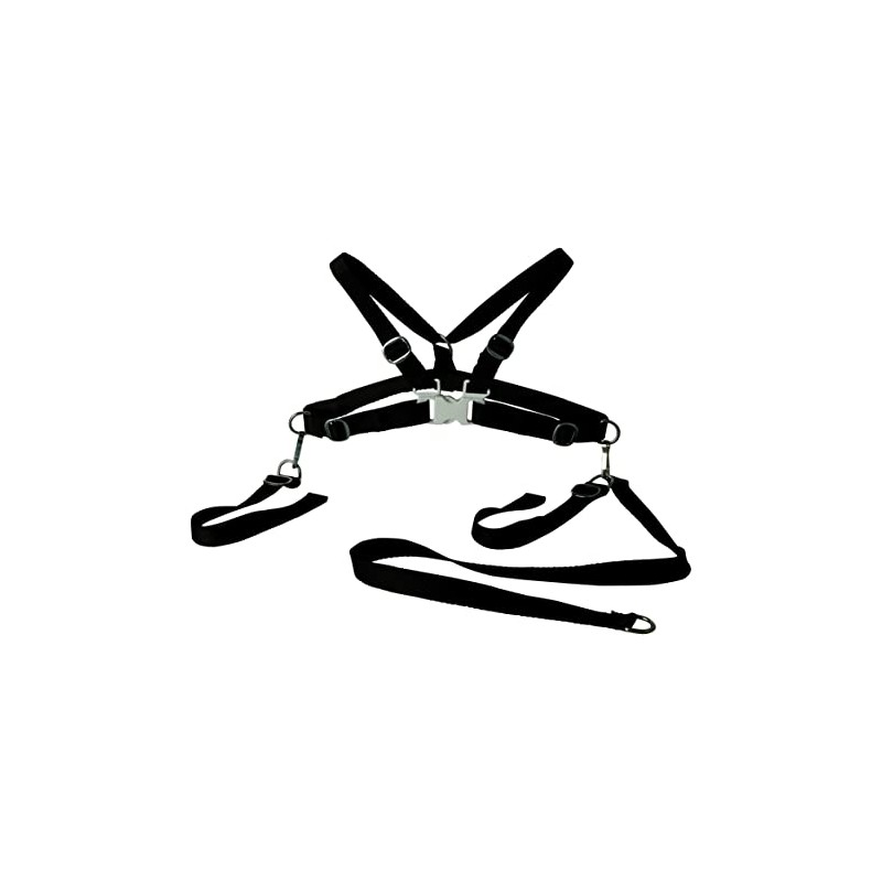 Sunnybaby 10066 Children's Safety Belt, Textile, Black