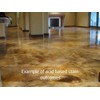 Concrete Acid Stain | Fern Green 1 Gallon