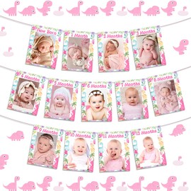 Dinosaur Photo Banner Decorations for Girls Pink Purple Dinosaur First Birthday Decorations Dinosaur Monthly Photo Banner Dinosaur Photo Banner Dino First Birthday Party Decor for Girls Birthday