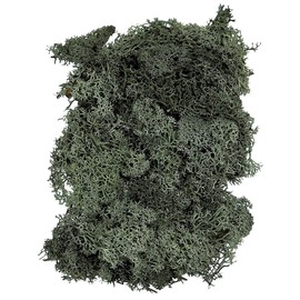 Tokyo Hall Preserved Finland Moss (approx. G) – Moss Green dt071107