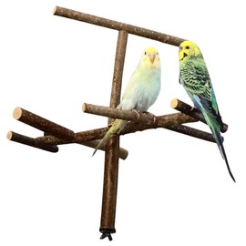 Vogelgaleria® Cage antenna, cool bird toy as landing perch or seat made of natural wood