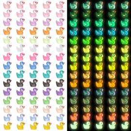 Mini Resin Ducks - 160 PCS Glow in The Dark Mini Ducks, Miniature Plastic Luminous Small Ducks,Tiny Ducks Figures for Dollhouse Garden Micro Landscape Aquarium Potted Homes Party Decoration, 16 Colors