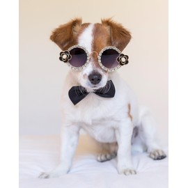Hosiwei Camellia Diamonds Pet Sunglasses for Small & Medium Dogs/Cats - Cute Costume Glasses for Parties, Halloween, Christmas - Funny Dress Up Accessory for Photo Shoots (Black, Medium)