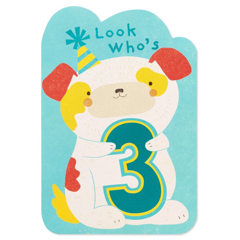 American Greetings 3rd Birthday Card (Smart and Special)