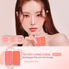 [2aN] Dual Teak Korean Cosmetics (#04 Hot Living Coral, Cheek)