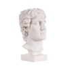 Alexander The Great of Macedonia Bust Greek Statue Figure 6