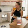 Colágeno Hidrolizado Gudly Ácido Hialurónico Biotina 500gr Sabor Sin Sabor