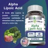 Ácido Alfa Lipoico 600mg 60 Cáps Amazing Nutrition Antioxidante Metabólico