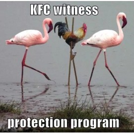 Funny Chicken refrigerator magnet 3 1/2 x 3  1/2"