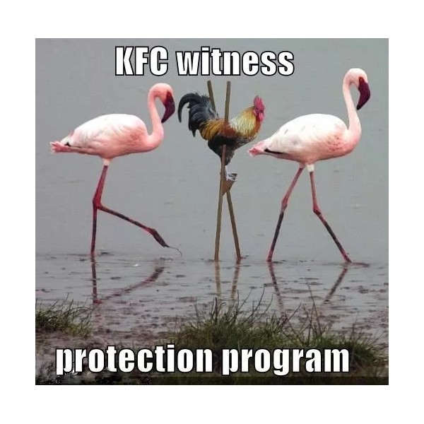 Funny Chicken refrigerator magnet 3 1/2 x 3 1/2"