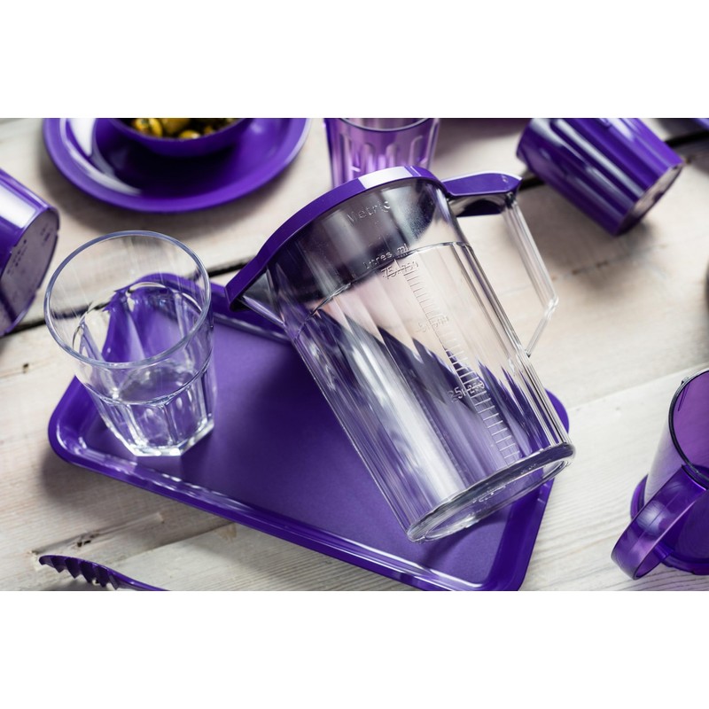 Harfield Individual Serving Food Platter Purple (Pack of 2) Reusable