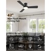 Homlit 42 inch RGB Ceiling Fan with Light, Smart App