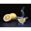 Set of 4 Individual Design Deluxe Lemon Squeezer Made in